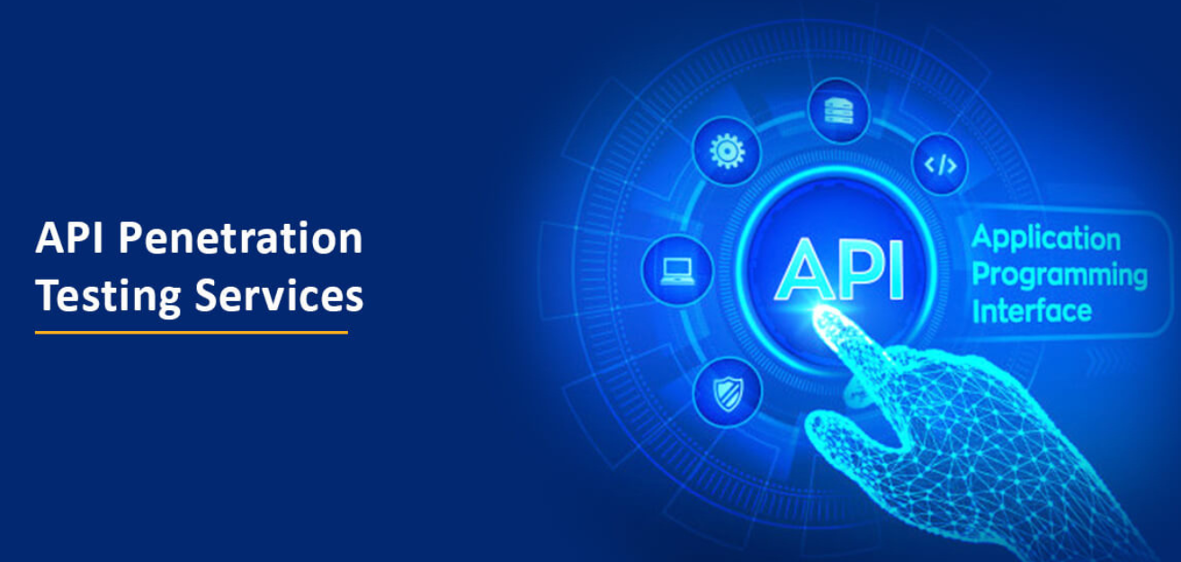 API Penetration Testing